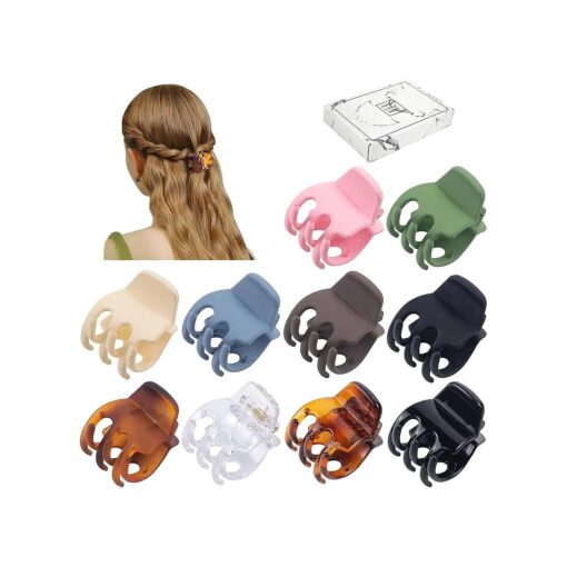 10 Small Claw Clips for Women and Girls, Great for Easily Pulling Up Your Hair, Pefrect for All Hair Types, Plastic Material 10 Count Gift box