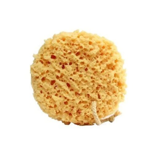 Foam Bath Sponge - 2 Count