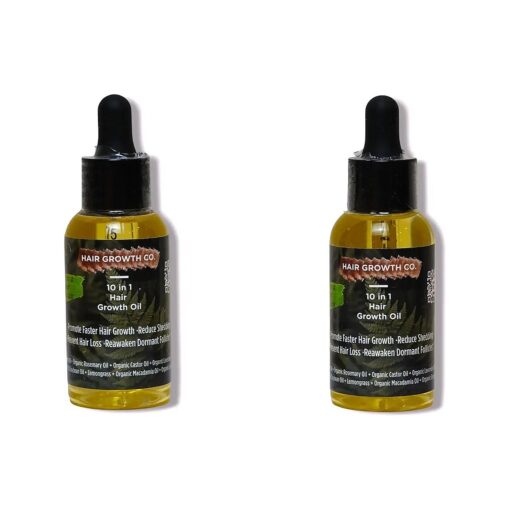 ( 2-Pack ) 10 in 1 Hair Growth Oil ( 2 Oz ) | Formulated With African Chebe Powder For Extreme Hair Growth, 2 Fl Oz ( Pack of 1 ), 2.0 ounces