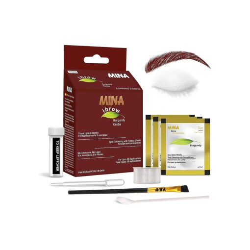 MINA ibrow Hair Color Tint Kit Regular Pack with Brush For Professional Tinting & Coloring, Covers Gray Hair, Stays up to 6 Weeks- ( 30 applications ) ( Burgundy )