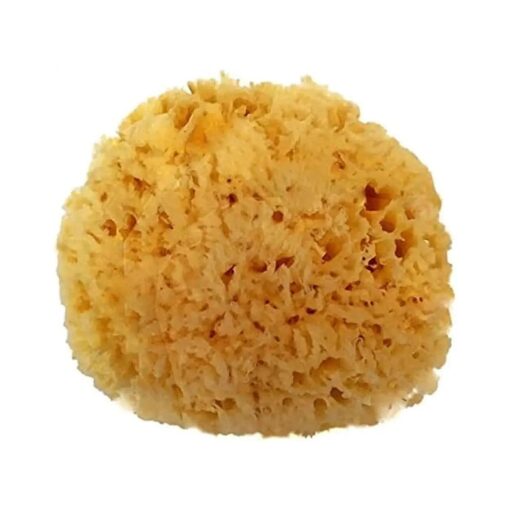 Natural Sea Wool Sponge 5-6" Natural Renewable Resource Bath & Shower