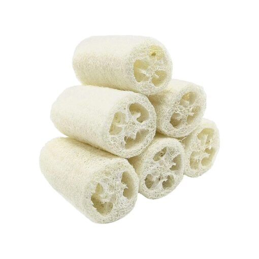 100 % Large ( 5" length ) NATURE 6 Pack of Organic Loofahs Loofah Spa Exfoliating Scrubber Luffa Body Wash Sponge Remove Dead Skin Made Soap