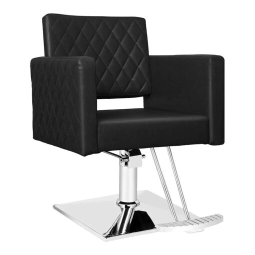 Paddie Salon Chair for Hair Stylist, Height Adjustable Hydraulic Chair Barber Chairs All Purpose Beauty Spa Salon Equipment, Max Load Weight 330 Lbs ( Black-New )