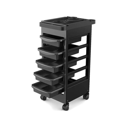 TASALON Budget Hair Styling Salon Trolley Cart with Wheels and 5 Drawers, Salon Rolling Cart for Extra Hairdresser Storage, Tool Free Rolling Salon Cart for Hair Stylist, Hairdresser, Beauty, Tattoo