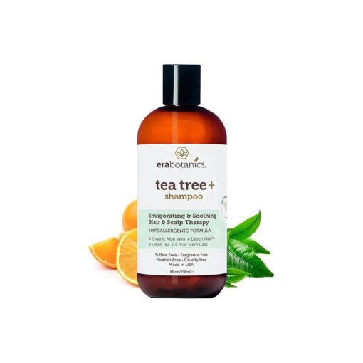 Era Organics Advanced Tea Tree Shampoo for Men and Women - Balancing Sulfate Free Tea Tree Shampoo for Oily Hair - Rejuvenating Plant Stem Cell Scalp Shampoo