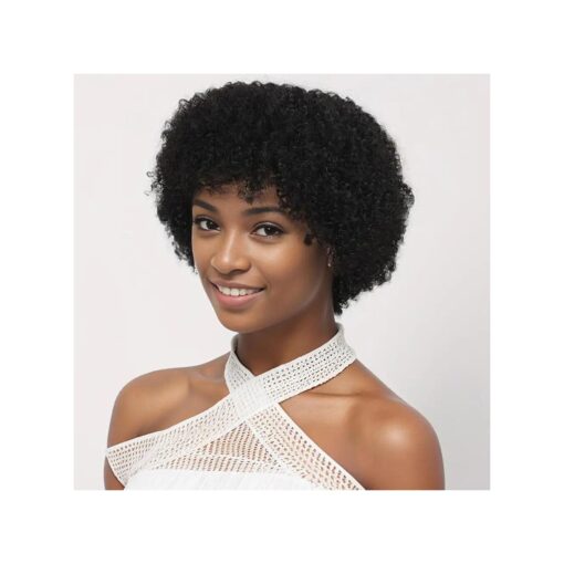 Afro Wigs Human Hair for Women Short Glueless Afro Curly Wig, Brazilian Virgin Hair Afro Kinky Curly Wig 70s for Cosplay or Daily Use ( Black )