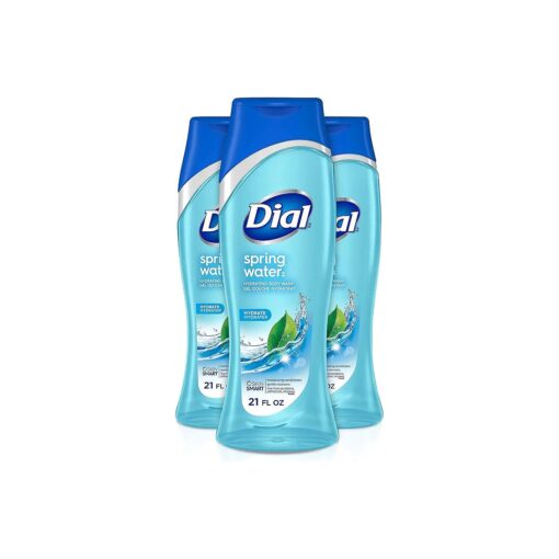 Dial Body Wash, Spring Water with All Day Freshness, 21-Fluid Ounces ( Pack of 3 )