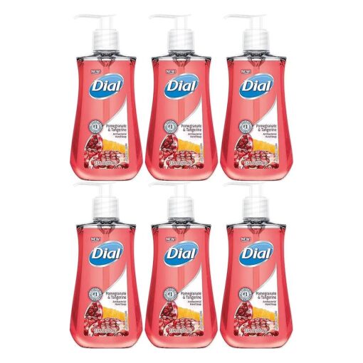 DIA02795 - Dial Pomegranate Antibacterial Hand Soap - 6 Pack