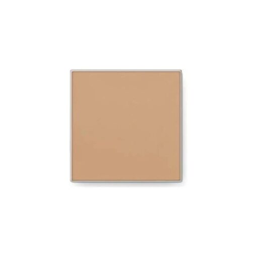 Mary Kay Endless Performance Creme to Powder Foundation~Beige 2