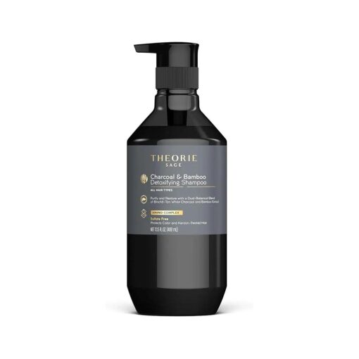 Theorie Charcoal and Bamboo Detoxifying Shampoo - Purify & Restore - Nurture Color & Keratin Treated Hair - Sulfate Free - Suited For All Hair Types, Pump Bottle 400mL