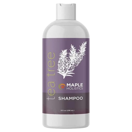 Tea Tree Shampoo for Oily Hair - Paraben and Sulfate Free Clarifying Shampoo for Build Up and Dry Scalp with Tea Tree Oil for Hair - Purifying Aromatherapy Tea Tree Oil Shampoo for Greasy Hair