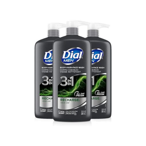 Dial Men 3in1 Body, Hair and Face Wash, Recharge, 69 fl oz ( 3-23 fl oz Bottles )