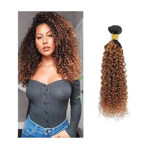 Kinky Curly Human Hair Bundle Ombre Human Hair T1B/30 Two-tone Brown 10A Grade Soft Brazilian 100 % Human Hair Extensions 12 Inch