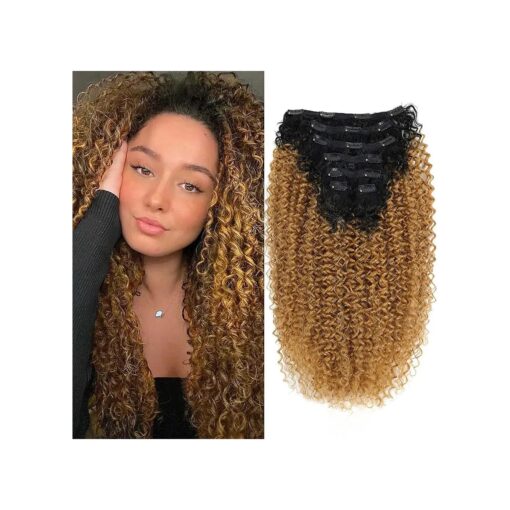 Curly Clip in Hair Extensions Clips in-Human Hair Feelings Ombre Honey Blonde Curly Hair Extensions for Black Women Jerry Hair Extensions curly hair clip in extensions ( T1B/27,5.11OZ )