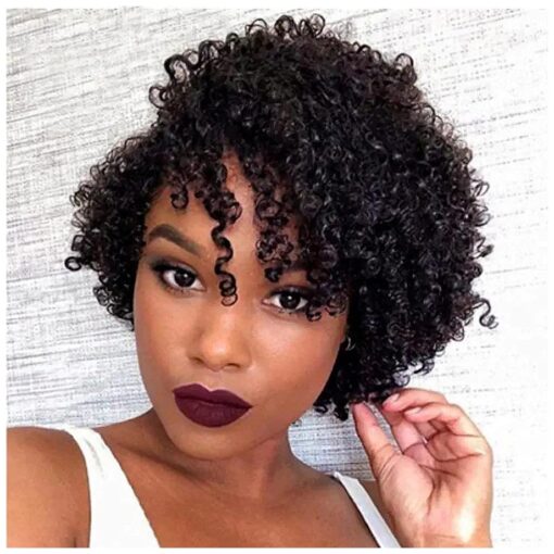 REYNA Short Curly Human Hair Wigs for Black Women Water Wave Brazilian Virgin Glueless Human Hair Wigs for Black Women