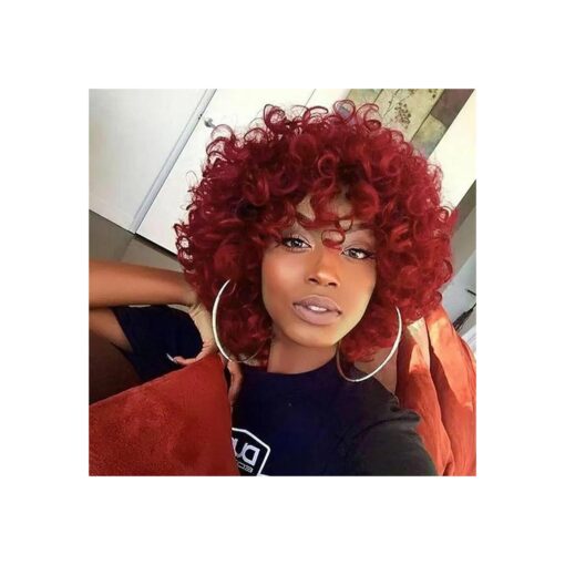 Red Curly Wigs for Black Women Short Loose Burgundy Curly Wigs for Women Curly Synthetic Hair Wigs Heat Resistant Hair Replacement Wigs with Wig Caps ( Burgundy, Red )