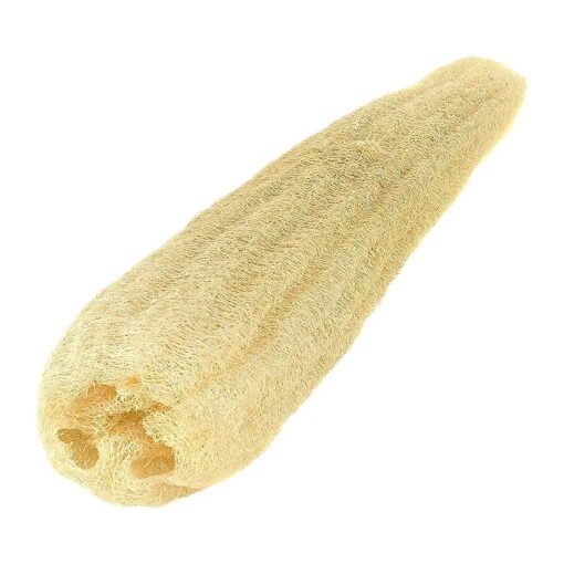 Egyptian Loofah Sponges Natural Exfoliating Body Wash Gourd, Loofah Bath Sponges for Skincare, Exfoliating Back Scrubber ( One Whole Loofah 22" )