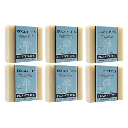 Plantlife Eucalyptus 6-pack Bar Soap - Moisturizing and Soothing Soap for Your Skin - Hand Crafted Using Plant-Based Ingredients - Made in California 4 oz Bar