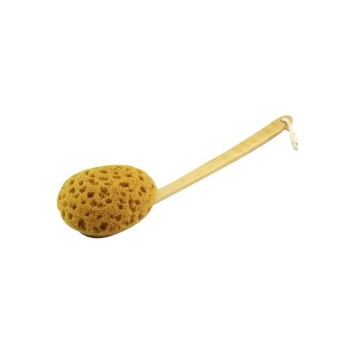 Shower Body Brush Sea Sponge Long Wooden Handle Back Scrubber Bath Brush Gentle Exfoliating Lotion Applicator