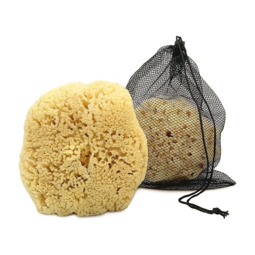 Real Sea Sponge for Men - Extra Large 6" -7", Totally Natural, Kind on Skin for an Invigorating Shower, Supplied in Breathable Mesh Bag, Great for The Gym, Grooming, Bath & Body Gift by Constantia Man