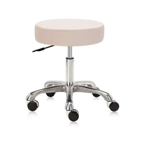 Heavy-Duty Extra-Wide Seat with Memory Foam Pneumatic Rolling Swivel Stool Chair for Clinic, Salon, Home and Office 502 NAIA