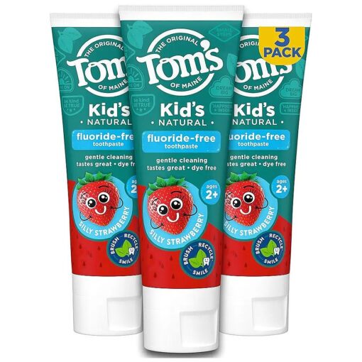 Tom 's of Maine Fluoride Free Children 's Toothpaste, Natural Toothpaste, Dye Free, No Artificial Preservatives, Silly Strawberry, 5.1 Ounce ( Pack of 3 ) ( Packaging May Vary )