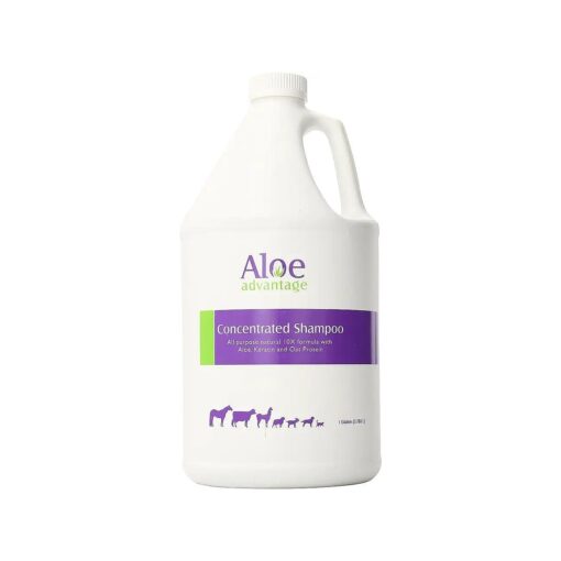 Aloe Concentrated Shampoo 1 Gallon