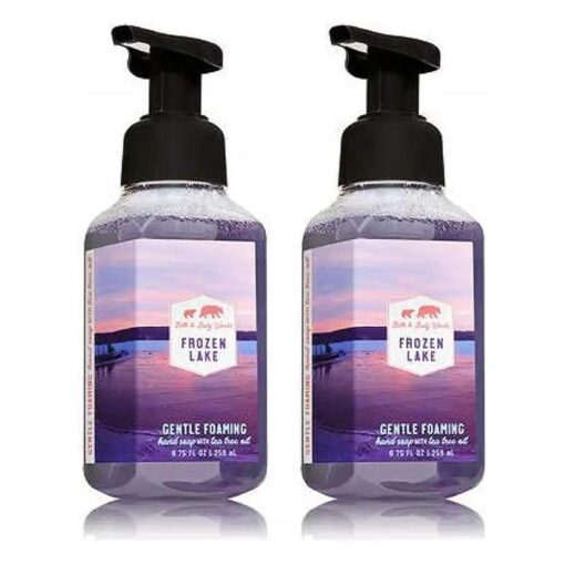 Bath and Body Works 2 Frozen Lake Gentle Foaming Hand Soap, 8 Oz