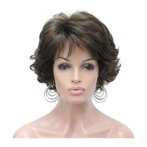 Aimole Short Curly Synthetic Wigs Full Capless Hair Women 's Thick Wig for Everyday ( 8 Lt Chestnut Brown )