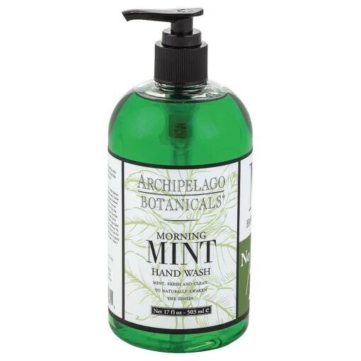 Archipelago Botanicals Morning Mint Hand Wash, Gentle Daily Handwash to Detoxify and Hydrate Skin ( 17 fl oz )