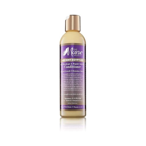 The Mane Choice Ancient Egyptian Anti-Breakage & Repair Antidote Conditioner, Hydrates & Strengthens Your Hair While Supporting Natural Hair Growth, Nourishes Dry, Brittle Hair, 8 Oz