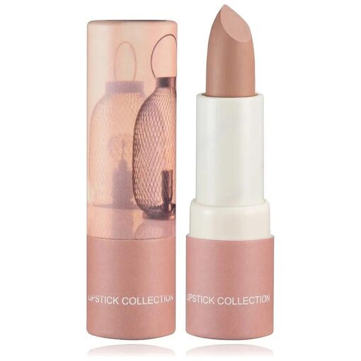 Fusang Matte Nude Lipstick, Silky Velvety Long Lasting Non Stick Cup Highly Pigmented Lip Gloss Set ( Nude )