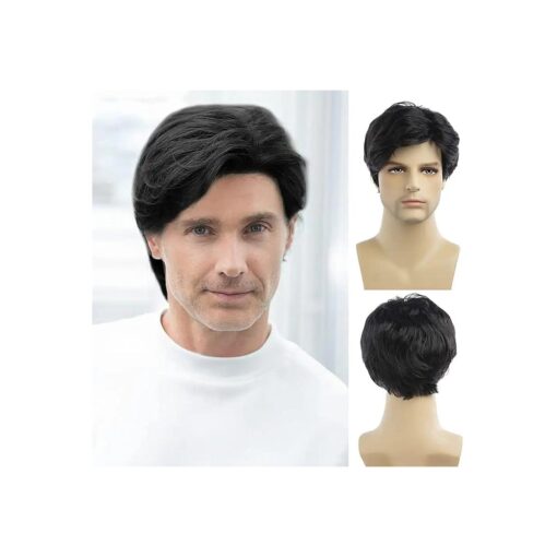 Baruisi Men Wigs Short Black Wig Synthetic Heat Resistant Natural Halloween Cosplay Hair Wig