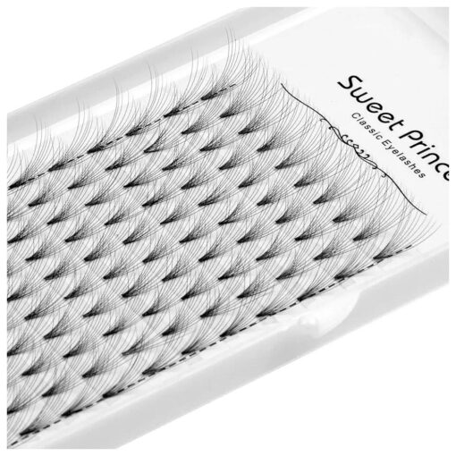 120Pcs 10Roots Individual Cluster Fake False Eye lashes Thickness 0.07mm D Curl Volume Premade Fans Eyelashes Extension 8-16mm to Choose ( 10mm )