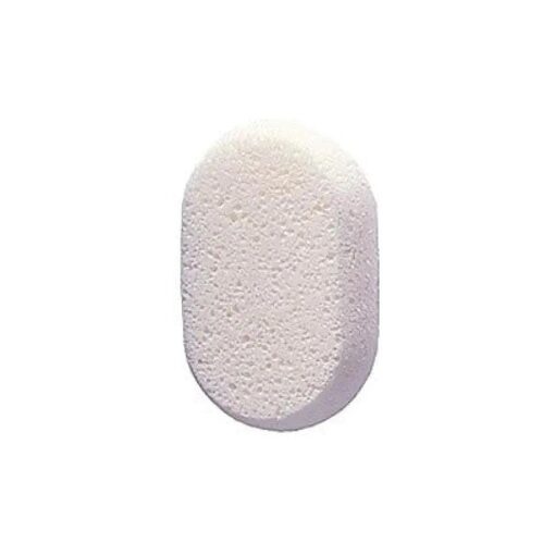 Aquasentials Classic Bath Sponge ( 2 Pack )