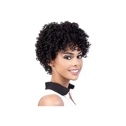 Swiking Short Afro Curly Wig for Black Women Hair Kinky Wigs With Bangs Synthetic Heat Resistant Cosplay Wigs Natural Looking Wigs ( Black )