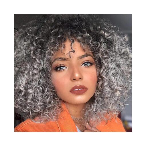 AISI QUEENS Afro Short Curly Gray Wigs for Black Women Kinky Ombre Grey Wig With Bangs Heat Resistant Synthetic Hair for Daily Use ( Ombre Grey )