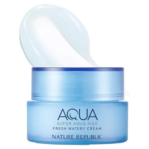 Nature Republic Super Aqua Max Fresh Watery Cream for Oily Skin, 80 Gram