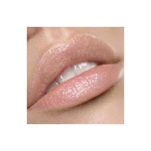 Premium Nude Lip Gloss | Unashamed ...