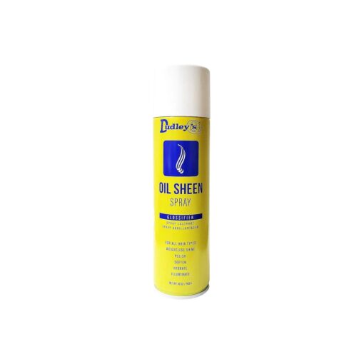 Oil Sheen Spray Glossifier 10 Oz .