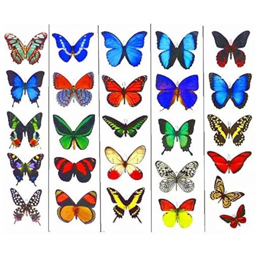 Colorful Temporary Butterfly Tattoos - 5 Sheets - by Butterfly Utopia