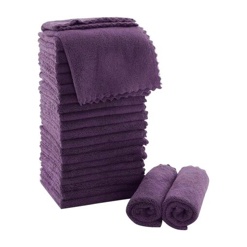 MOONQUEEN Ultra Soft Premium Washcloths Set - 12 x 12 inches - 24 Pack - Quick Drying - Highly Absorbent Coral Velvet Bathroom Wash Clothes - Use as Bath, Spa, Facial, Fingertip Towel ( Plum )