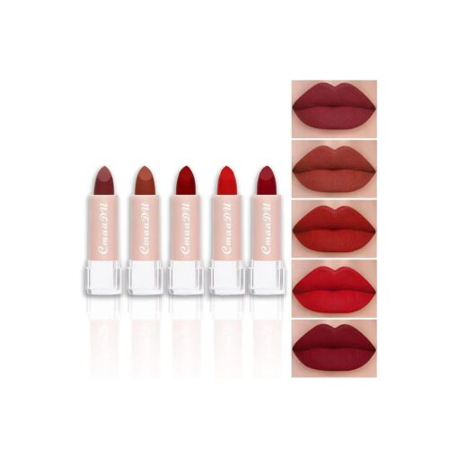 evpct 5Pcs Dark Light Bright Red Matte Lipstick Pack Sets for Women Ruby Red Silky Matte Velvet permanent Lipstick Long Lasting Smudge Proof 24 hours Lip Stain Sets labiales mate 24 horas originales