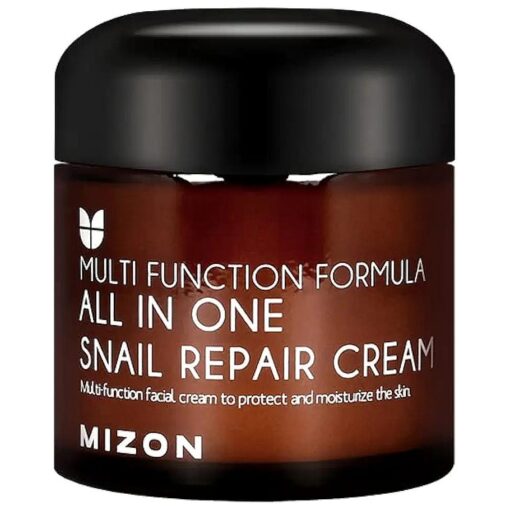 MIZON All in One Snail Repair Cream, Face Moisturizer with Snail Mucin Extract, Recovery Cream, Korean Skincare, Wrinkle & Blemish Care ( 2.53 Fl Oz Pack of 1 )