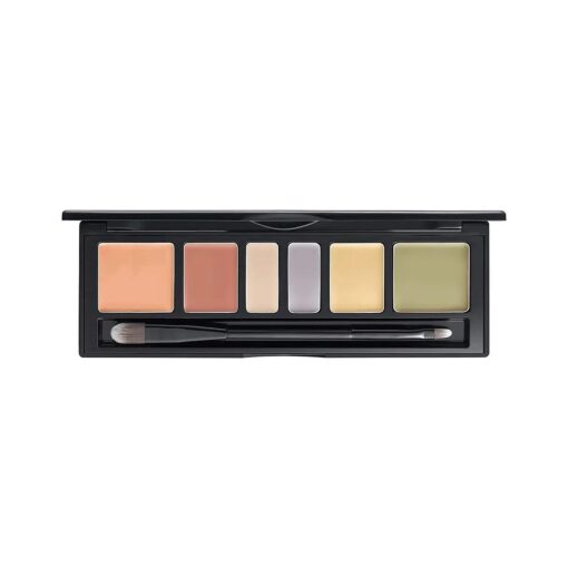 [ JUNGSAEMMOOL OFFICIAL ] Artist Concealer Palette ( Blend ) | Makeup Artist Brand | Color Corrector | Blemish Redness Dark Circles Cover Up | Brush Included