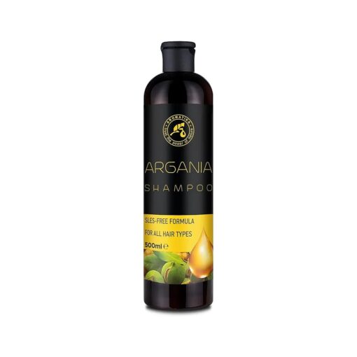 Argan Oil Shampoo 16.2 Fl Oz - Natural Argan Oil & Herbal Extracts for All Hair Types - Restorative Formula - Hair Care