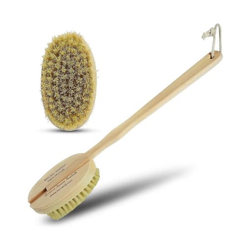 Body Brush Natural Bristle Brush - 1 Brush