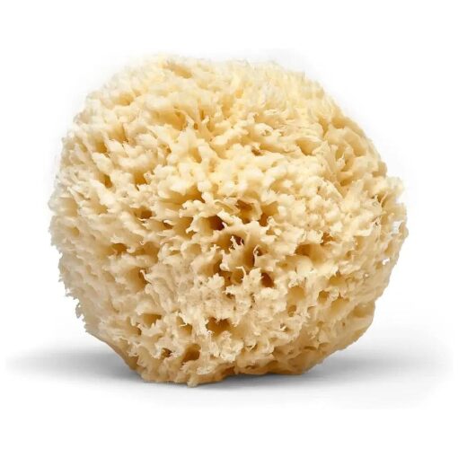 LATHER Natural Sea Wool Sponge 4-6" - Gentle Exfoliating Loofah for Invigorating Spa Experience - Natural Bath Sponge Varies in Size & Shape - Organic Loofah