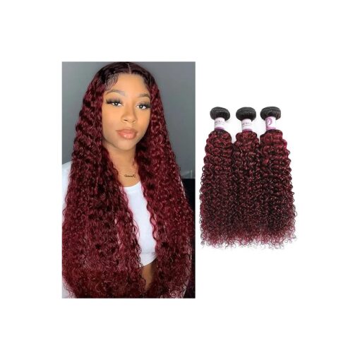 Ombre Dark Red Curly Weave Human Hair 3 Bundles 99J Brazilian Curly Hair 100g/Bundles Burgundy Kinky Curly Human Hair Extensions for Black Women ( 12" 14" 16" )