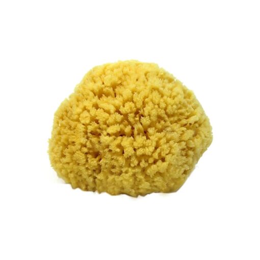 Natural Sea Sponge Small 4-5" by Spa Destinations ( r )" Creating The Perfect Bath and Shower Experience" Amazing Natural Renewable Resource !